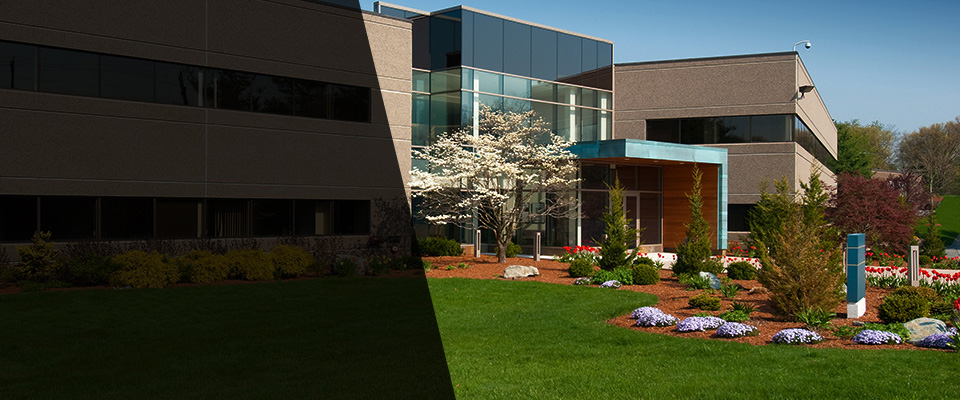 Mountain View Landscapers