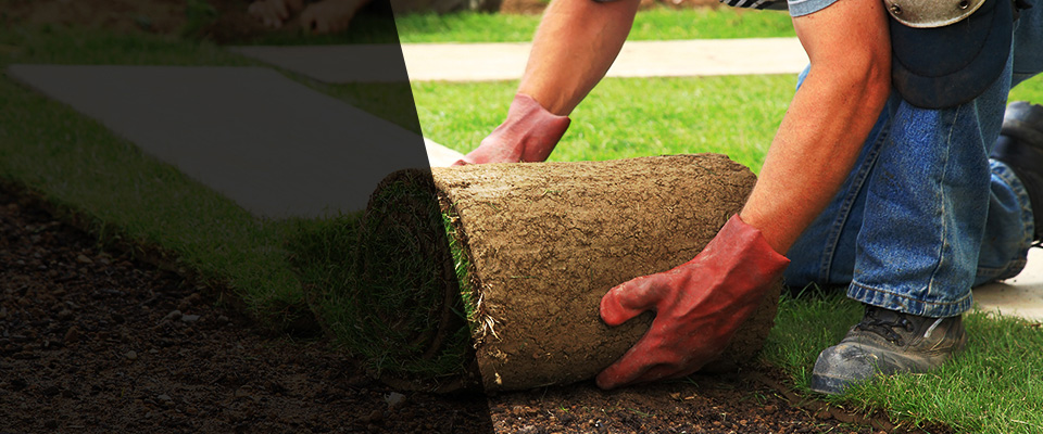 Mountain View Landscapers